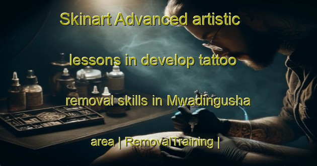 Skinart Advanced artistic lessons in develop tattoo removal skills in Mwadingusha area | RemovalTraining | RemovalClasses | SkinartTraining-the Democratic Republic of the Congo